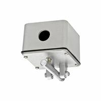 Nema 4 Ceiling Pull Switch